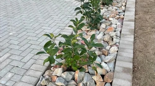 Bevels installed by Danabaai Kwekery: Tel 044 698 1466 / Sel 082 584 6611