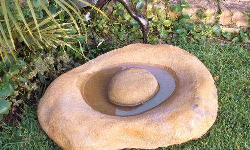 Bird Bath