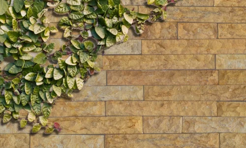 Caledon_cladding (17)