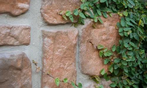 Country_cladding (14)