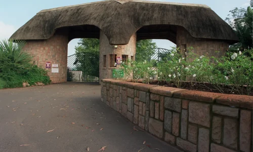 Country_cladding (9)