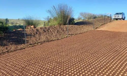 Loffelstein Grass Block