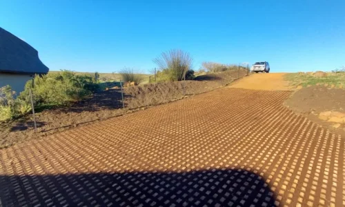 Loffelstein Grass Block