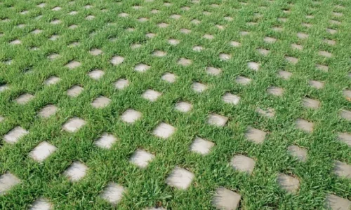 Loffelstein Grass Block