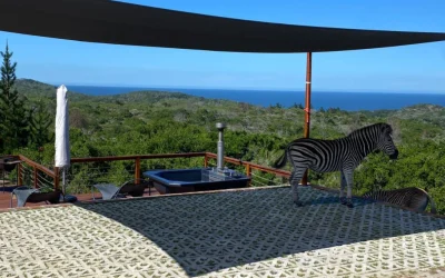 Terracrete Lawn Pavers