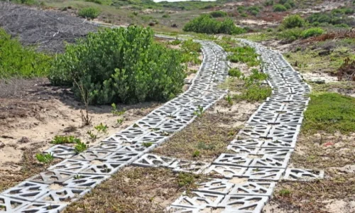 Terracrete Lawn Pavers