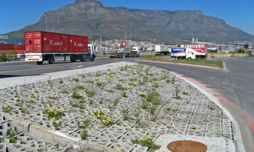 Terracrete Lawn Pavers