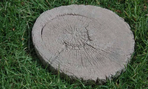 Tree Ring (4)