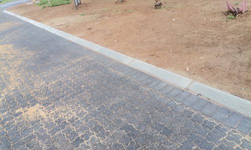 WhatsApp Image 2021-10-29 at 10.36.27 (1)