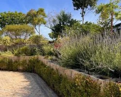 competition 2022 (1)