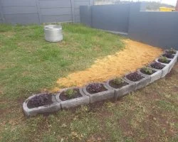 competition 2022 (19)