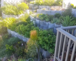 competition 2022 (22)